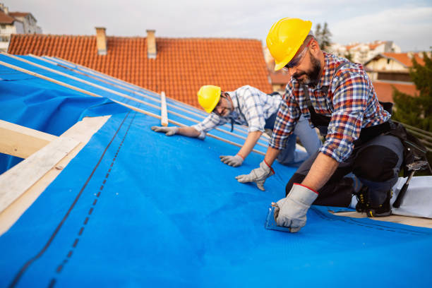 Best Roof Insulation Installation  in Toledo, IL