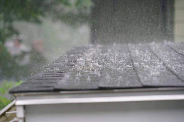 Best Roof Maintenance and Cleaning  in Toledo, IL