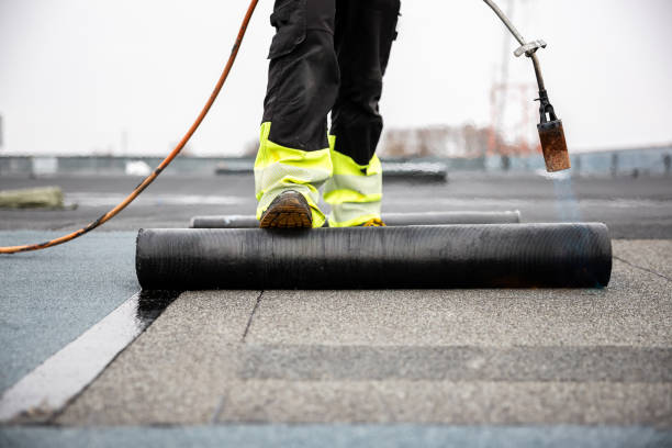 Best Solar Panel Roofing Installation  in Toledo, IL