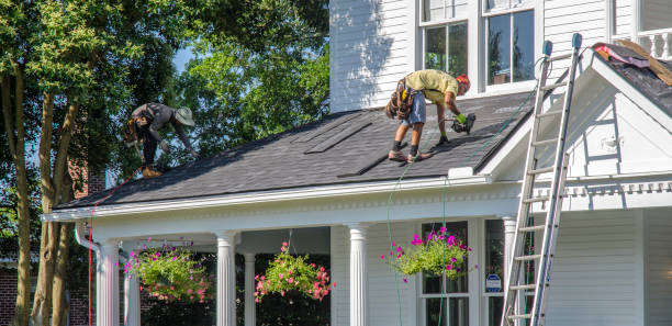 Best Chimney Flashing Repair  in Toledo, IL